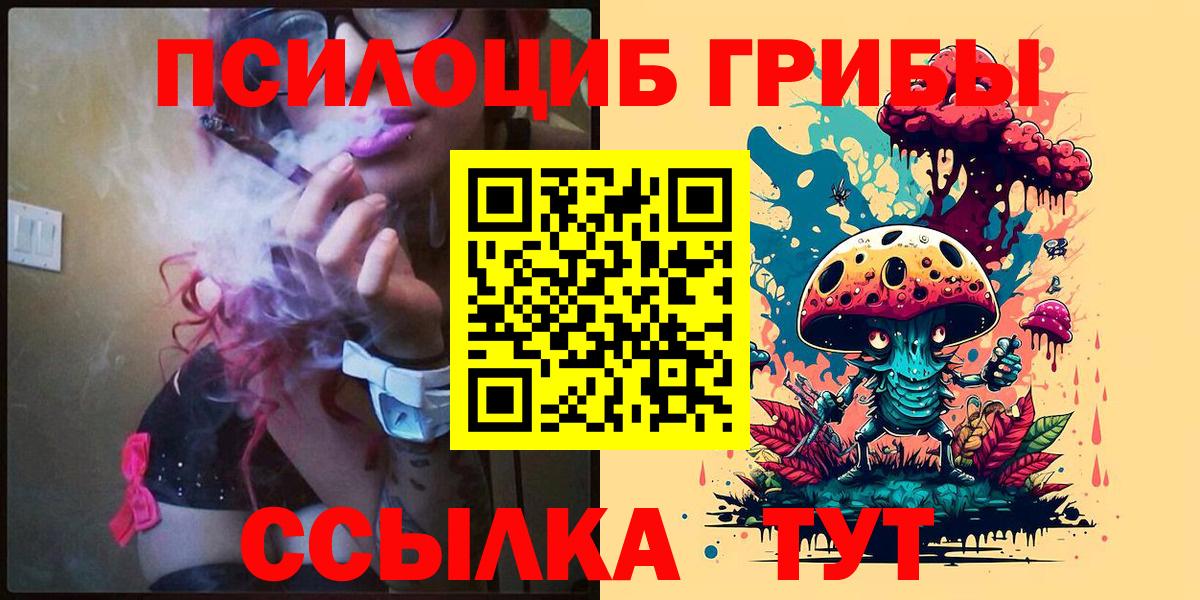 Острогожск  наркота  Вход с VPN  Псилоцибиновые грибы Magic Shrooms 